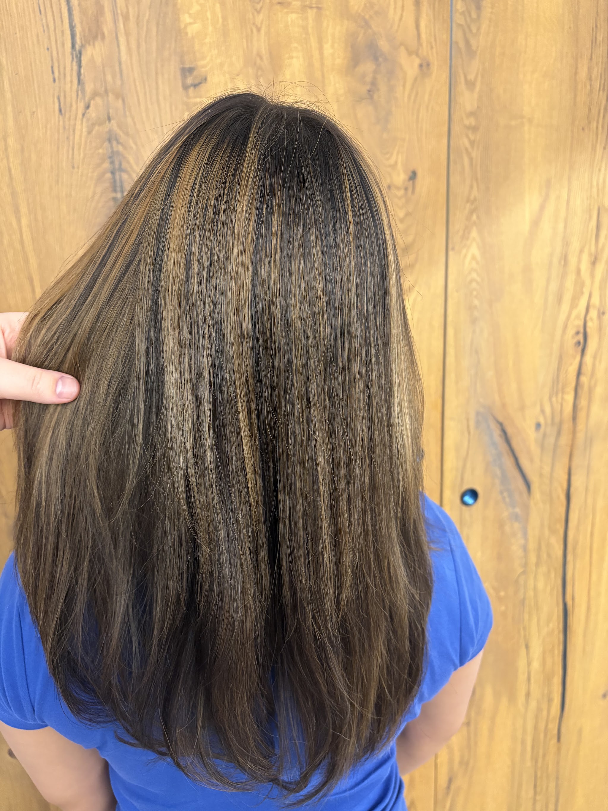 Bruin haar met highlights, van achteren gezien in de salon